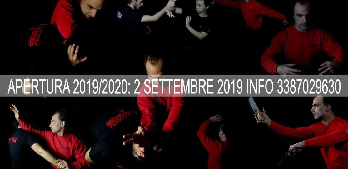 wing chun caserta kung fu academy di sifu salvatore mezzone www.kungfuitalia.it accademia di wing tjun